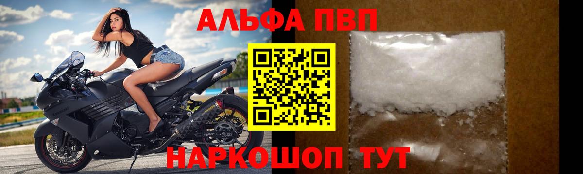 Альфа ПВП СК Новороссийск
