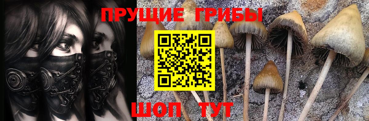 Псилоцибиновые грибы мухоморы Новороссийск