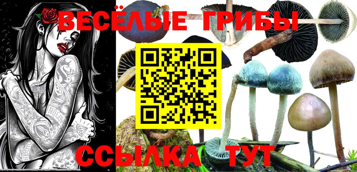 Галлюциногенные грибы Magic Shrooms  Псилоцибиновые грибы Cubensis  Новороссийск  Вход с VPN 